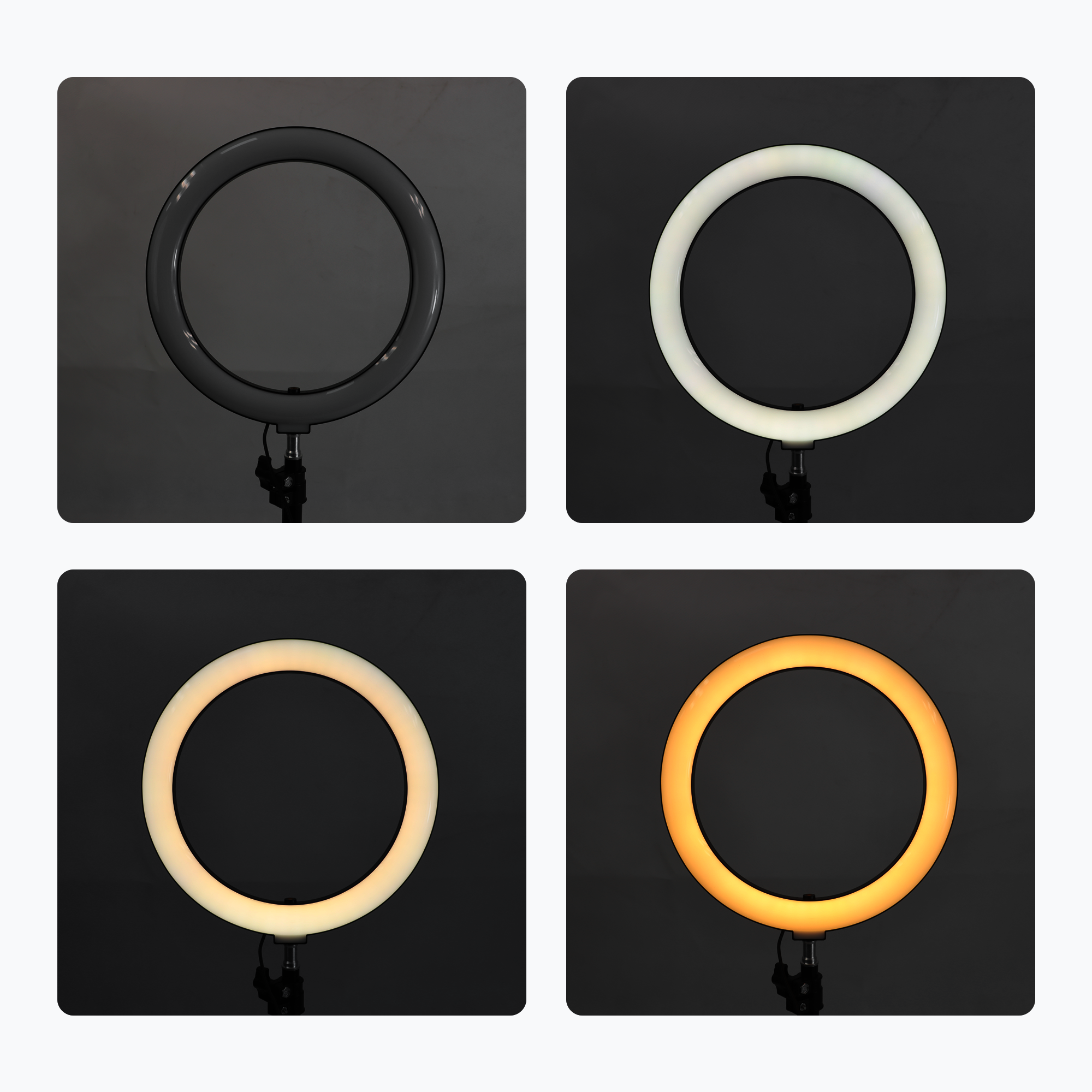 Foxvee Ring Light with Multiple Color Temperature Adjustment, Desktop Folding Stand & Phone Holder - Image 5